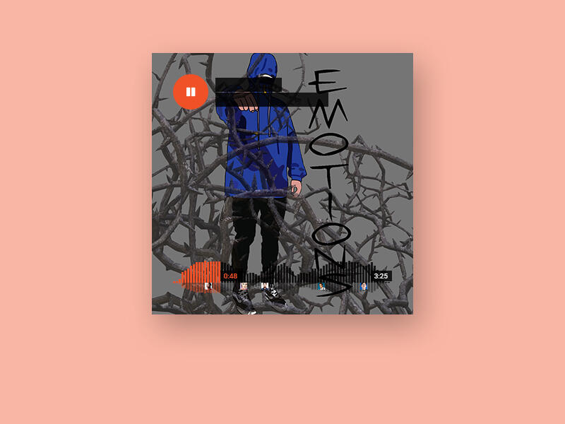 Emotions Album Cover